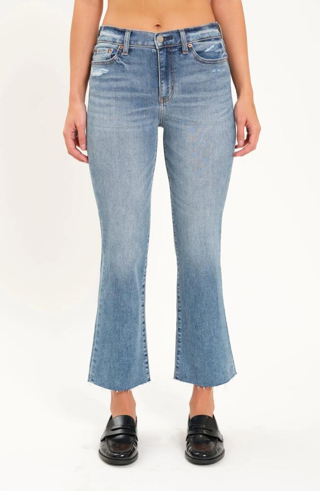 DAZE Runaway Low Rise Crop Flare Jeans in Downtown Cover