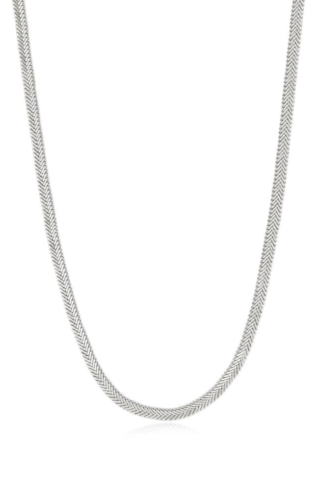 Luv AJ The Arezou Snake Chain Collar Necklace in Silver Cover