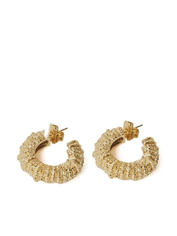 Paola Sighinolfi Amulet golden earrings Cover