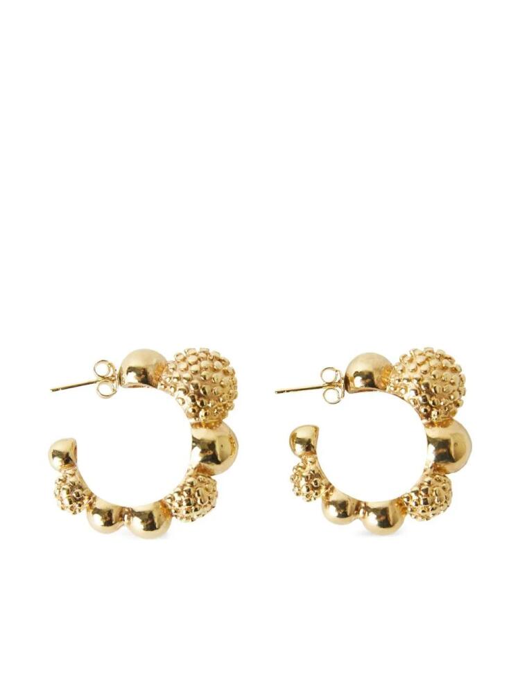 Paola Sighinolfi Silvia half hoop earrings - Gold Cover