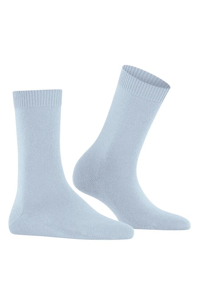 Falke Cozy Wool Blend Crew Socks in Light Blue Cover