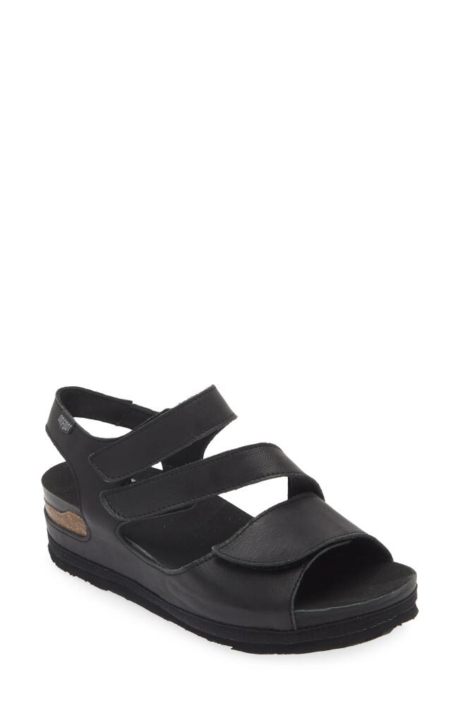 On Foot 206 Austin Platform Sandal in Black Cover