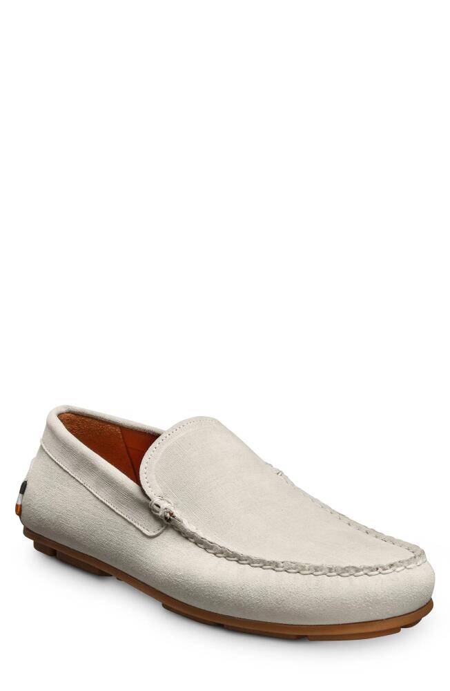 Allen Edmonds Santiago Driving Loafer in Light Grey Cover