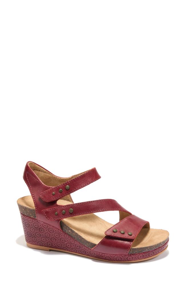 Hälsa Footwear Gisella Wedge Sandal in Dark Red Cover