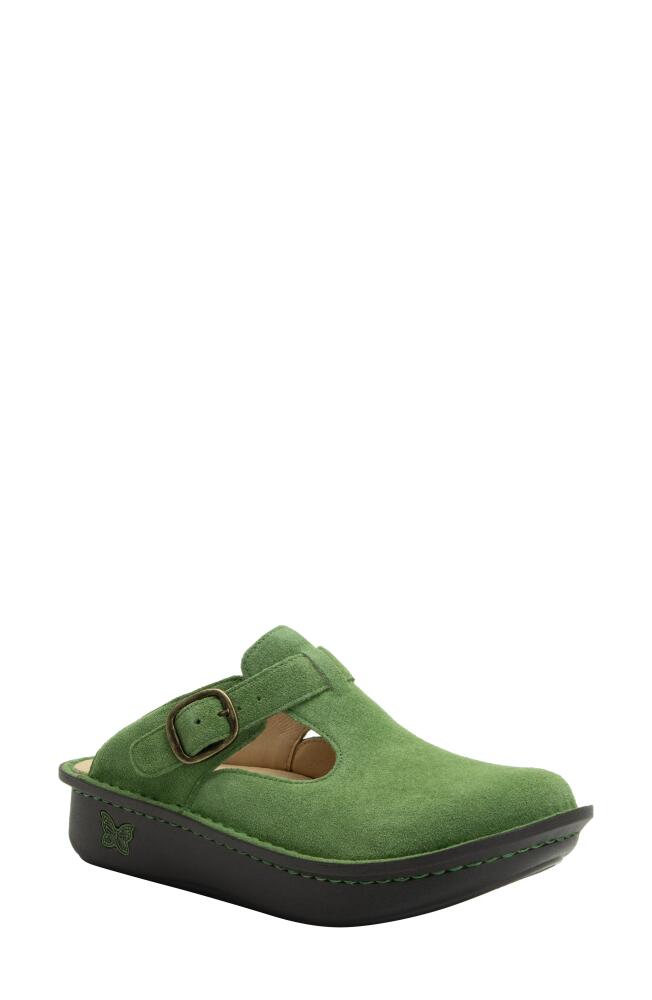 Alegria by PG Lite Classic Clog in Olive You Cover