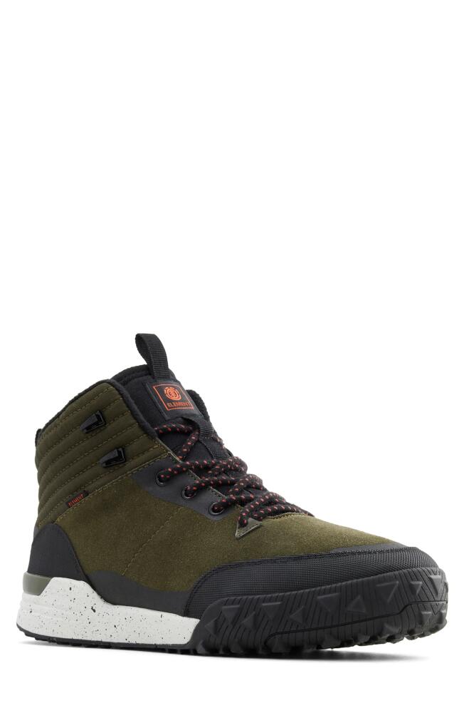 Element Donnelly High-Top Sneaker in Dark Green Cover