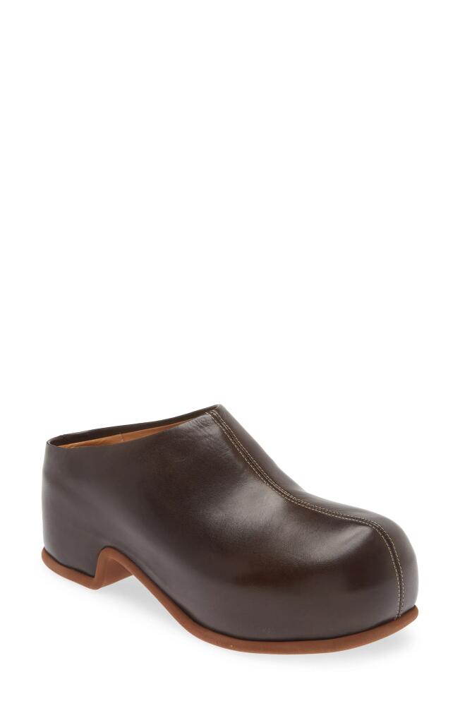 Dries Van Noten Platform Clog in Qu110 Dbrown 704 Cover