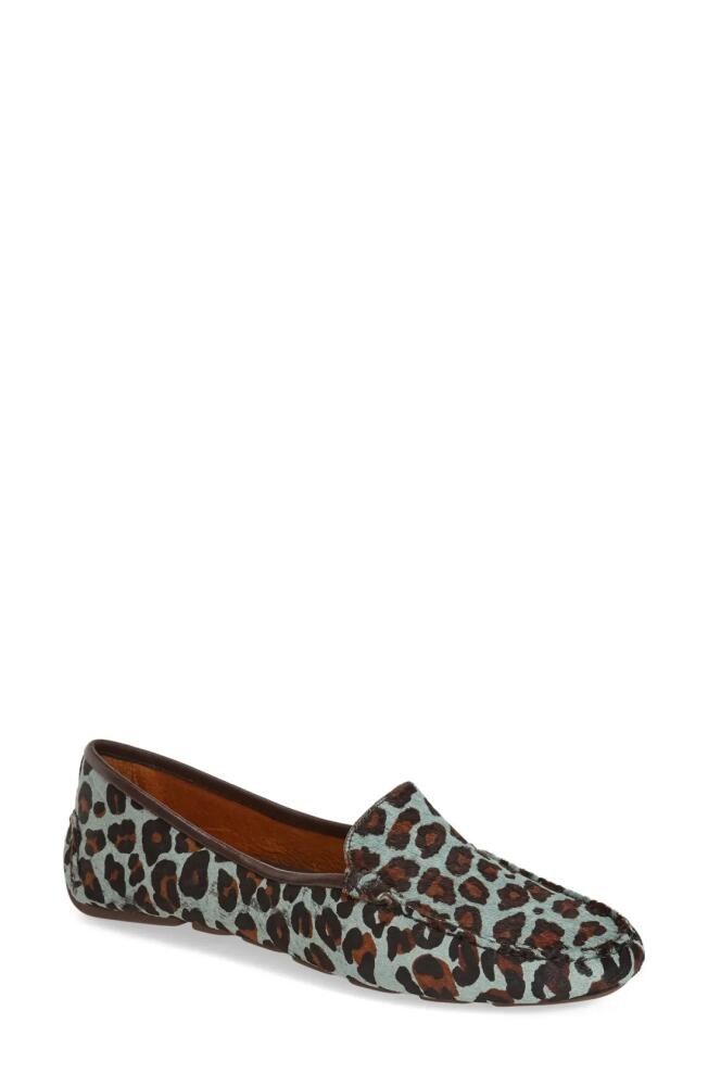 patricia green 'Jillian' Loafer in Teal Blue Leopard Calf Hair Cover