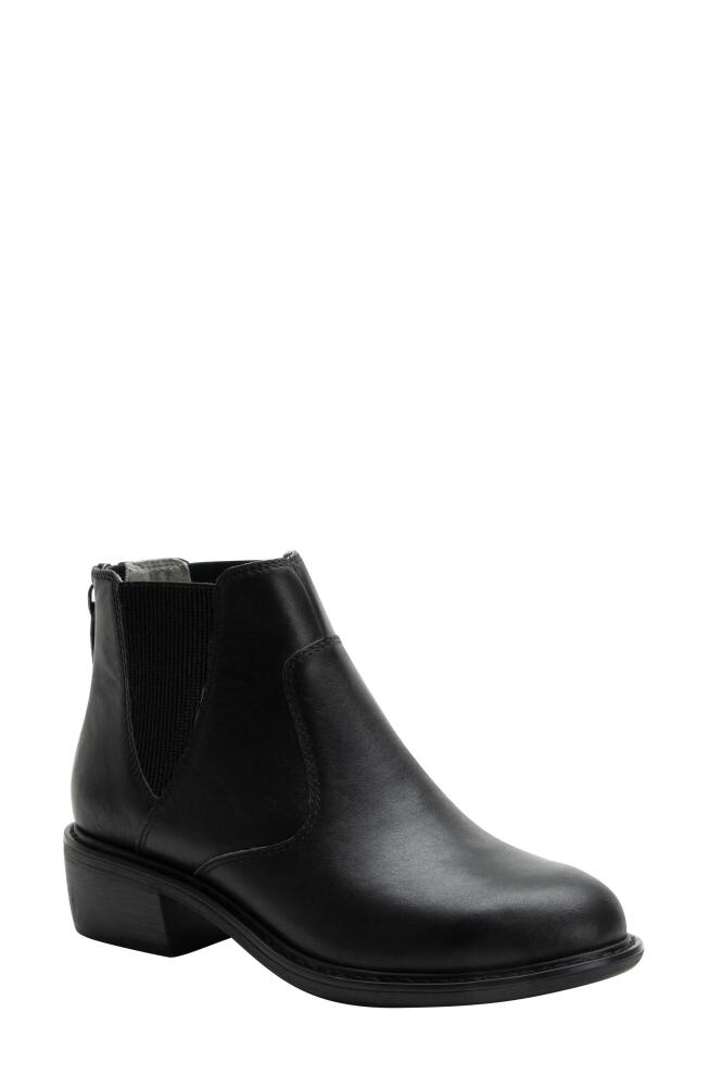 Alegria by PG Lite Meadow Chelsea Boot in Black Cover