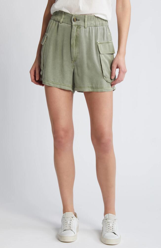 Treasure & Bond Cargo Shorts in Olive Acorn Cover