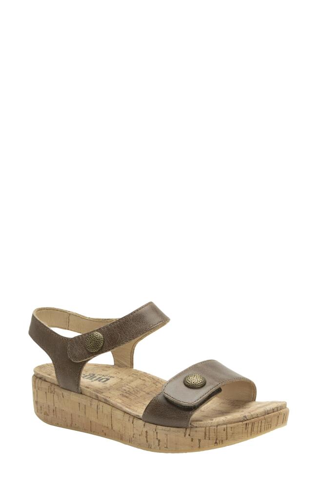 Alegria by PG Lite Marta Ankle Strap Platform Wedge Sandal in Stones Throw Cover