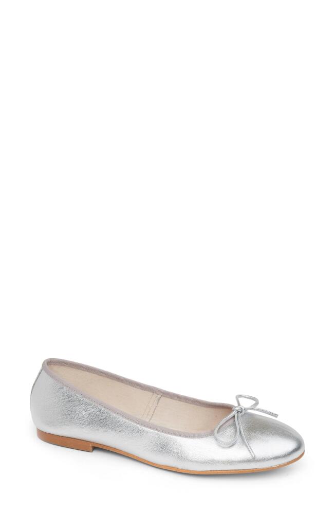 patricia green Skim Ballerina Flat in Silver Cover