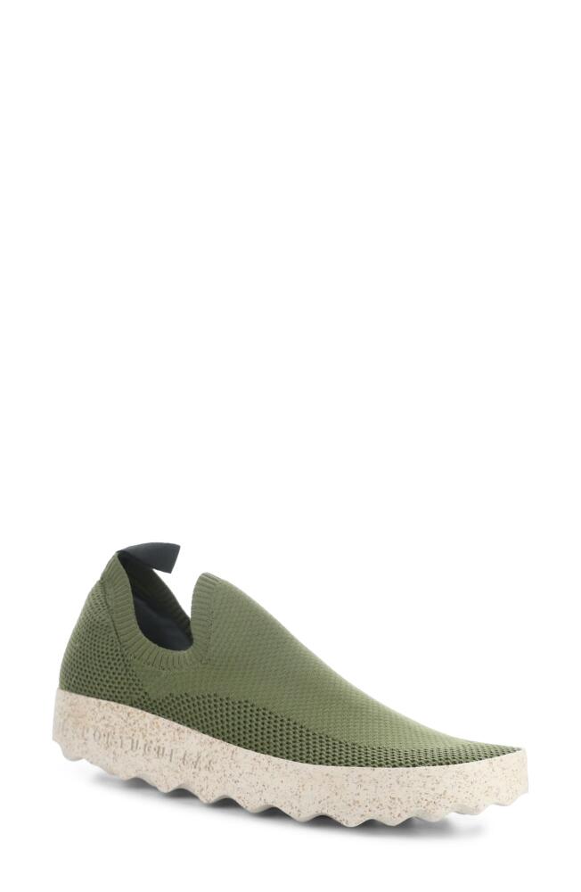 Asportuguesas by Fly London Clip Slip-On Sneaker in Olive Recycled Knit Cover