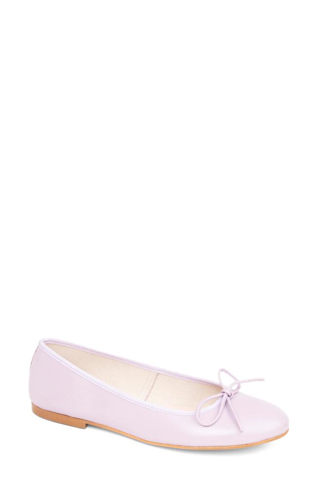 patricia green Skim Ballerina Flat in Lilac Cover