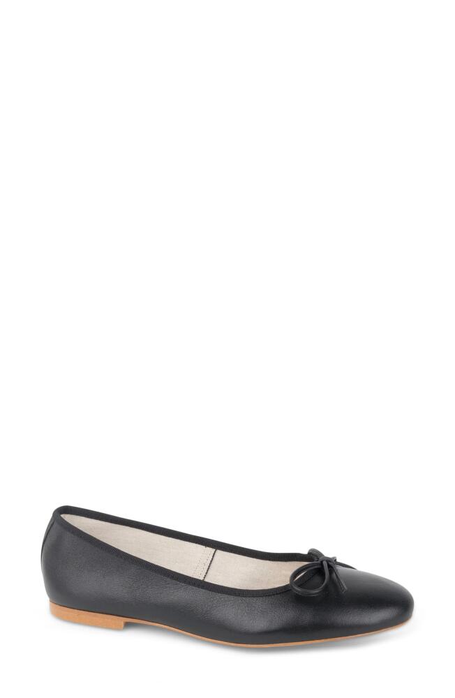 patricia green Bow Ballet Flat in Black Cover