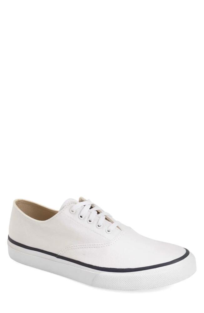 Sperry 'Cloud CVO' Sneaker in White Cover