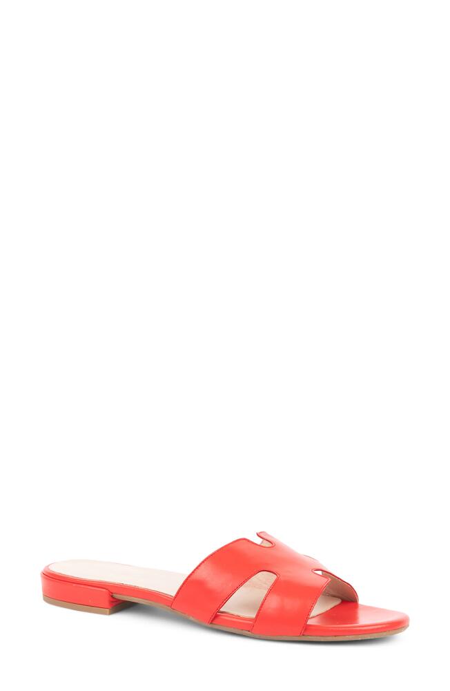 patricia green Hallie Slide Sandal in Red Leather Cover