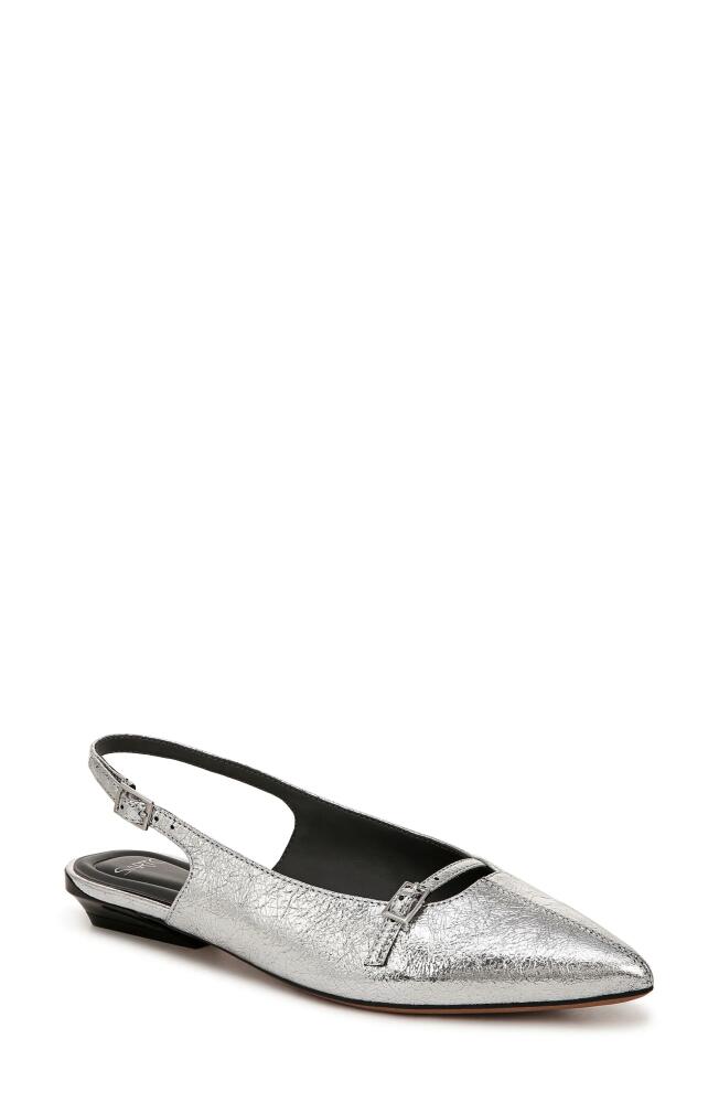 SARTO by Franco Sarto Emma Slingback Pointed Toe Flat in Silver Cover