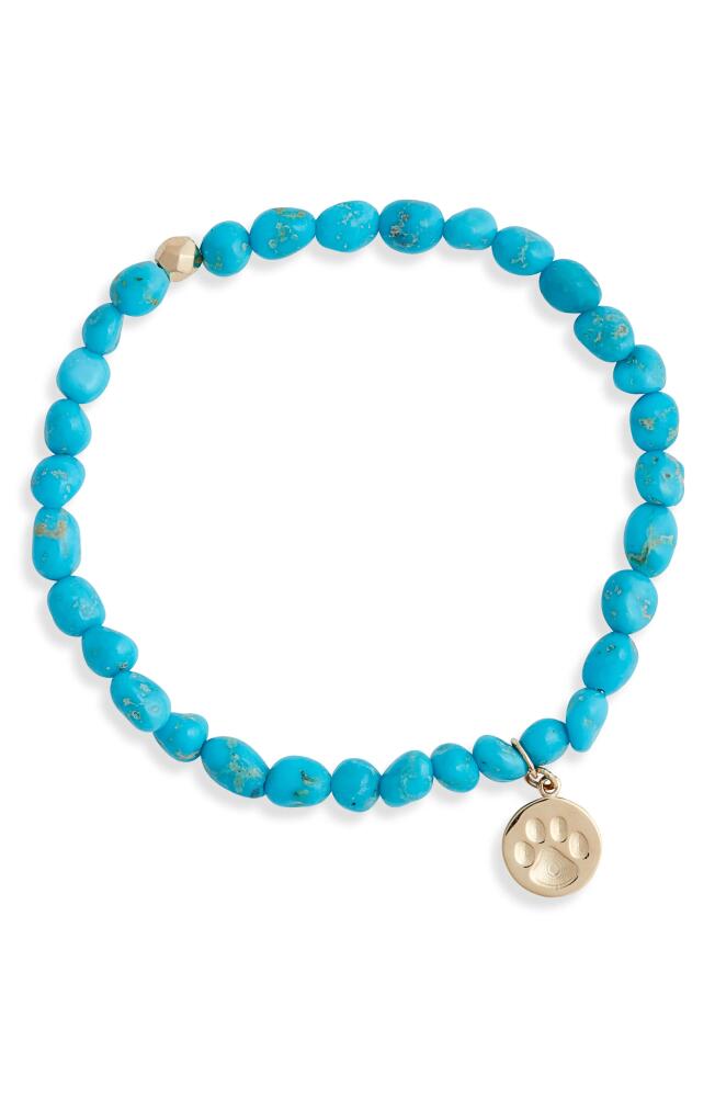 Anzie Boheme Turquoise Beaded Stretch Bracelet in Blue Cover