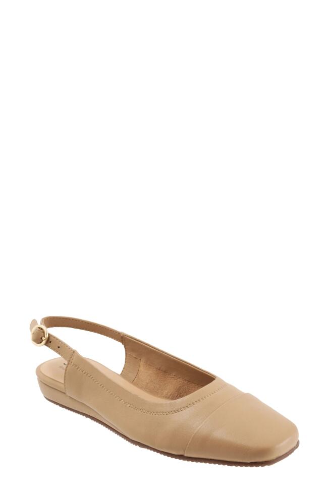 SoftWalk® Vittoria Slingback Flat in Nude Cover