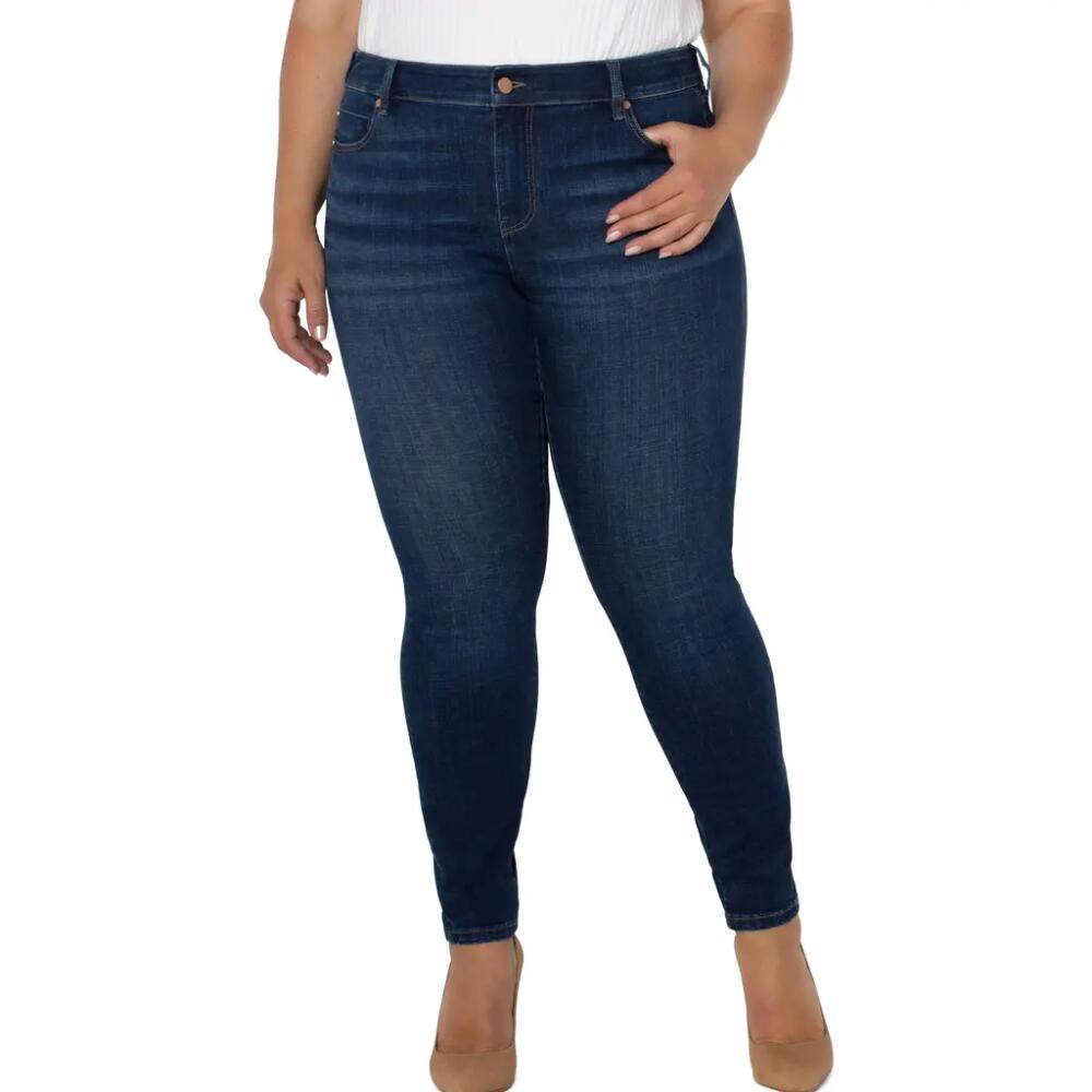 Liverpool Abby High Waist Skinny Jeans in Arroyo Coast Cover