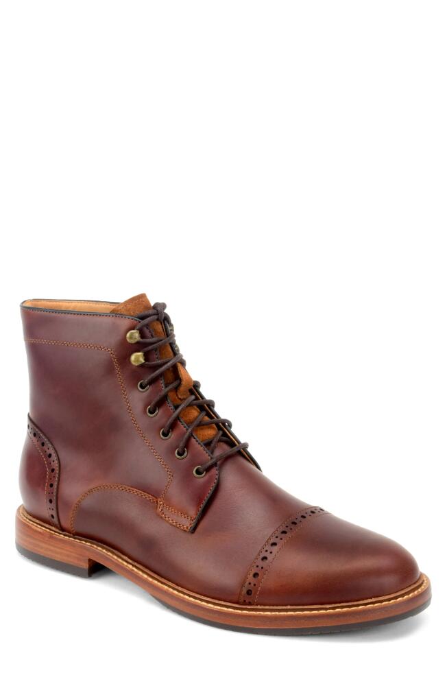 Warfield & Grand Woodlands Brogue Boot in Chestnut Cover