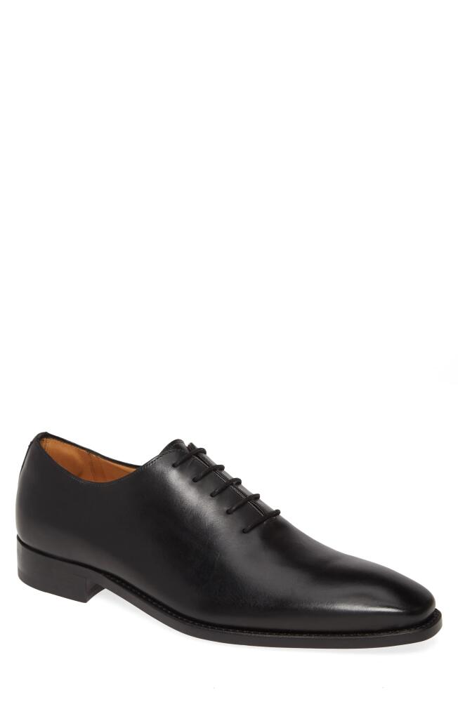 Mezlan Pamplona Wholecut Oxford in Black Leather Cover