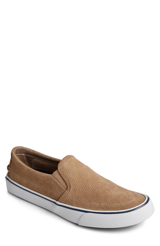 Sperry Striper II Slip-On Sneaker in Taupe Cover