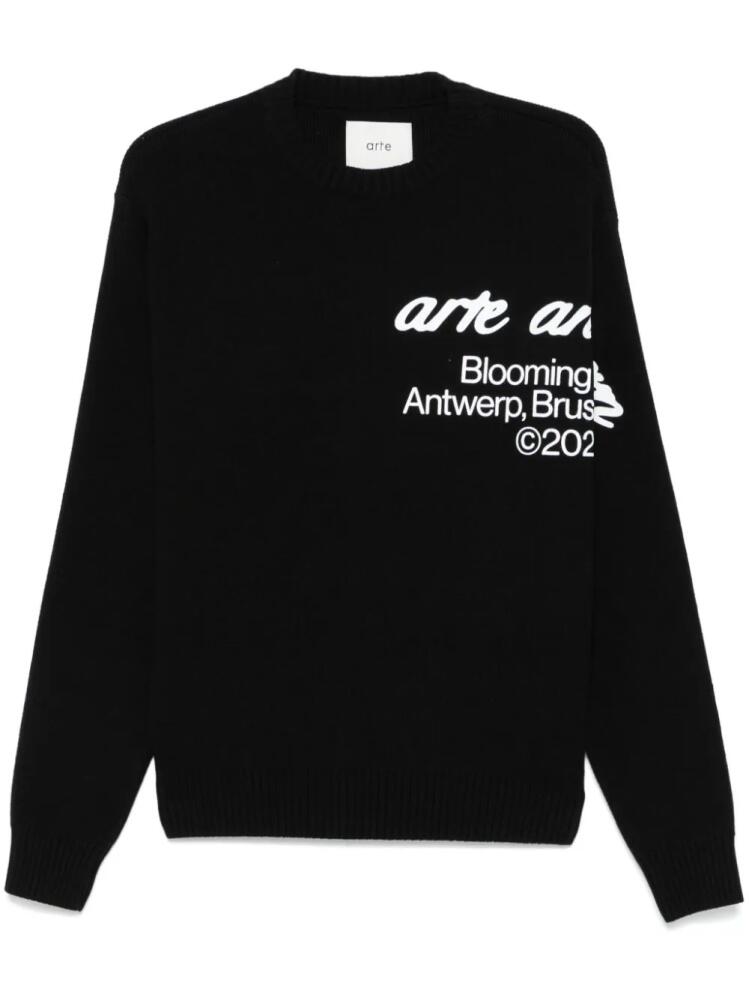 ARTE Blooming Ideas sweater - Black Cover