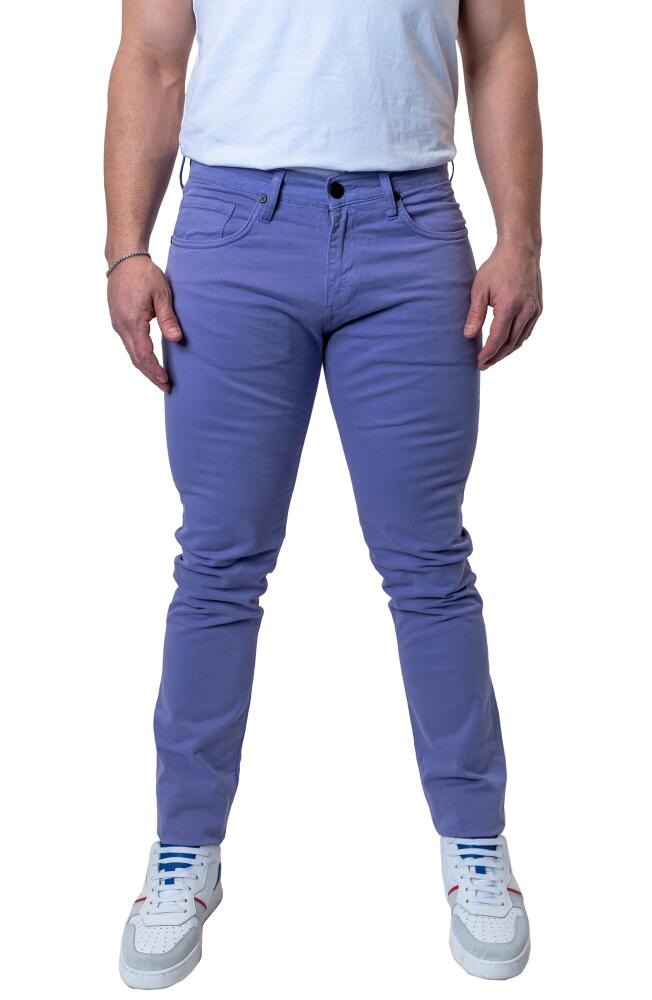 Maceoo Athletic Fit Stretch Jeans in Purple Cover