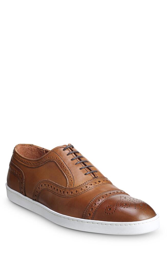 Allen Edmonds Strand Cap Toe Oxford Sneaker in Walnut Leather Cover