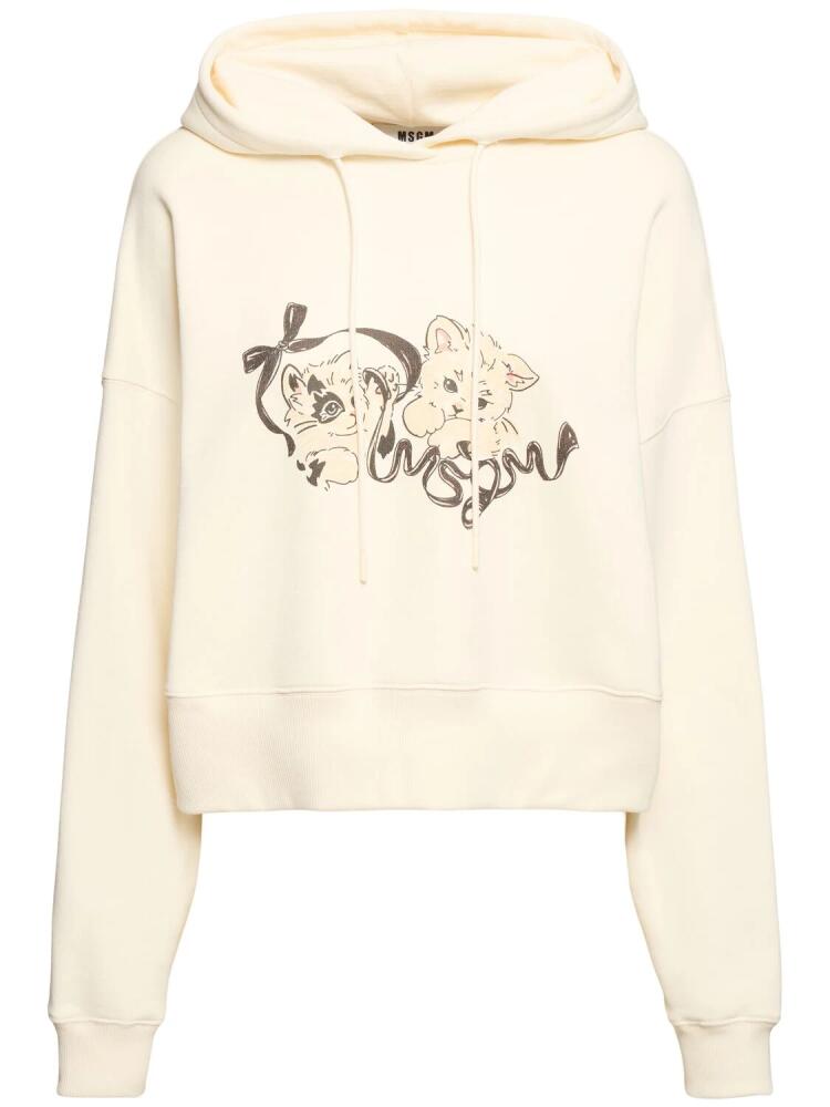 MSGM Kitten Printed Cotton Jersey Hoodie Cover