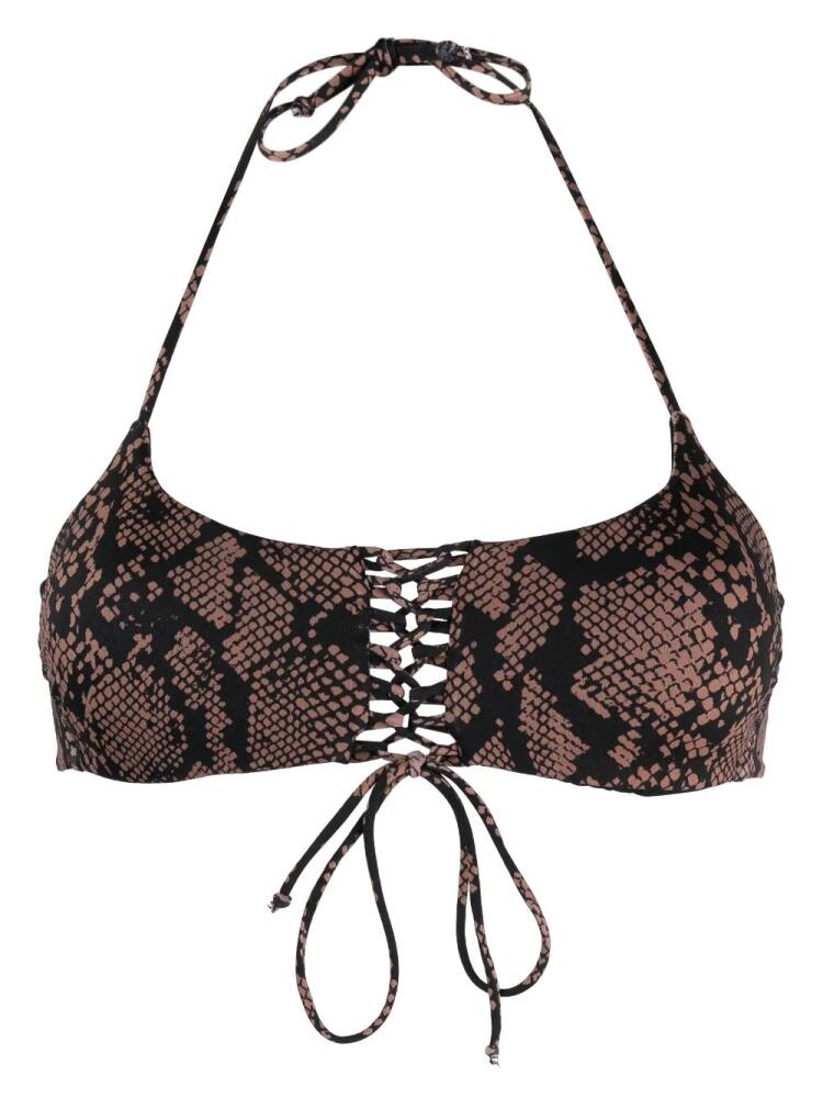 Fisico python-print halterneck bikini top - Brown Cover