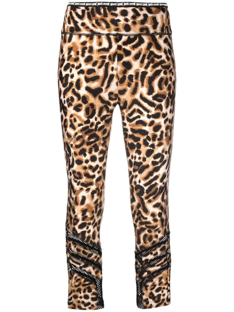 Just Cavalli leopard print leggings - Brown Cover