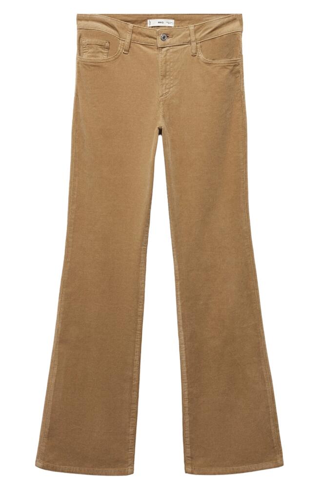 MANGO Corduroy Flare Leg Pants in Medium Brown Cover