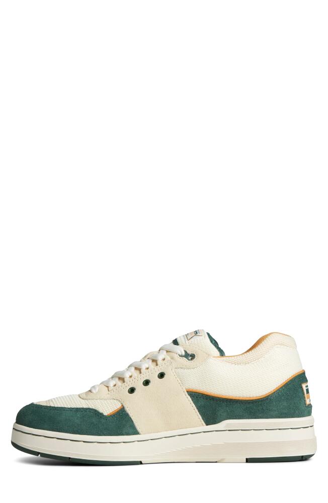 Sperry US12 Sneaker in Green Multi Cover