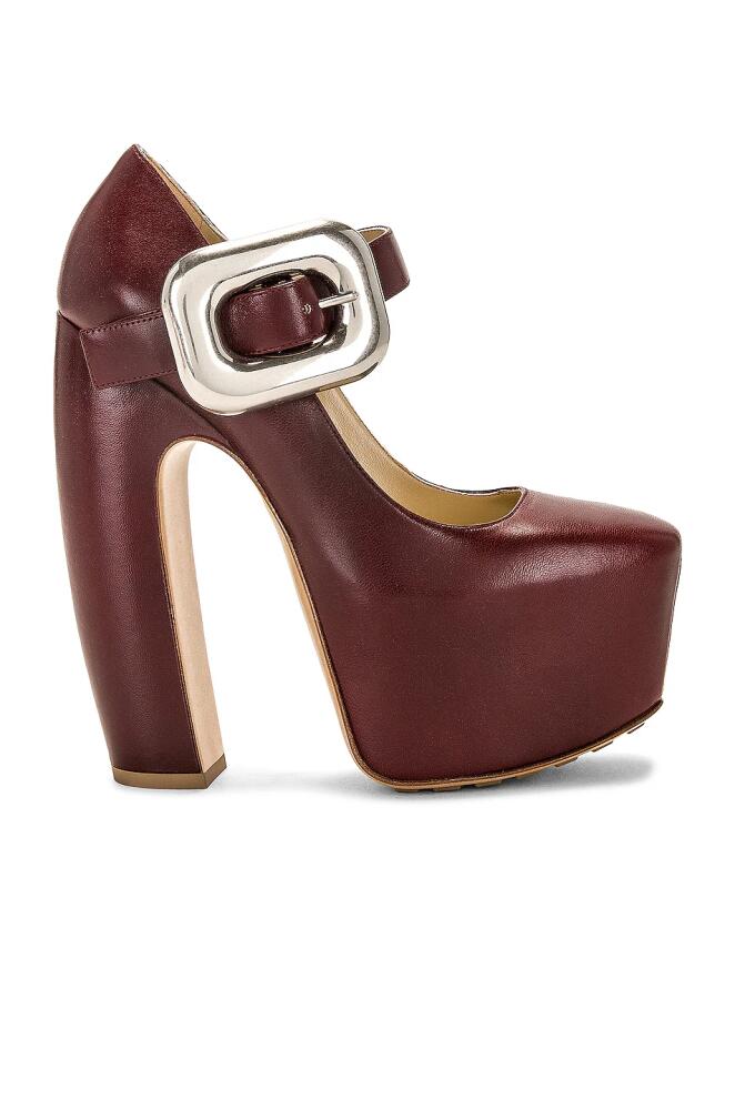 Bottega Veneta Mary Jane Wedges in Burgundy Cover