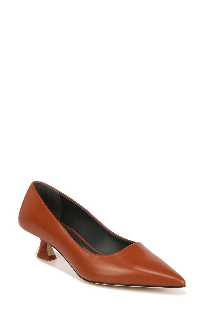 SARTO by Franco Sarto Diva Kitten Heel Pointed Toe Pump in Terracotta Cover