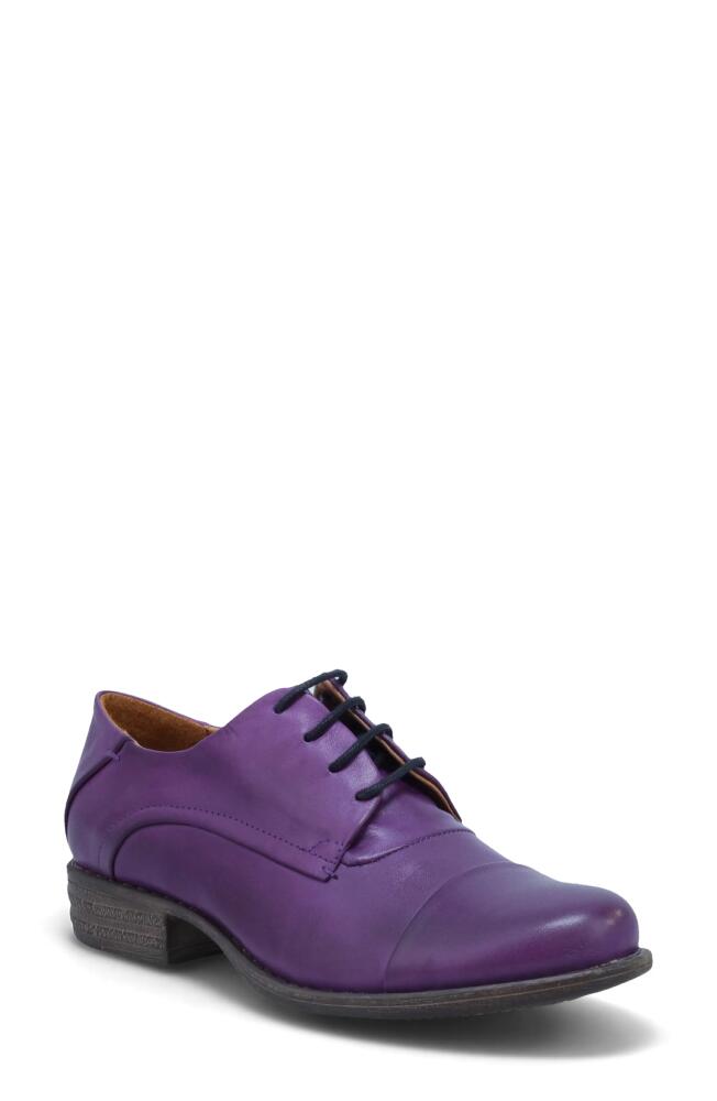 Miz Mooz Letty Oxford Flat in Purple Cover