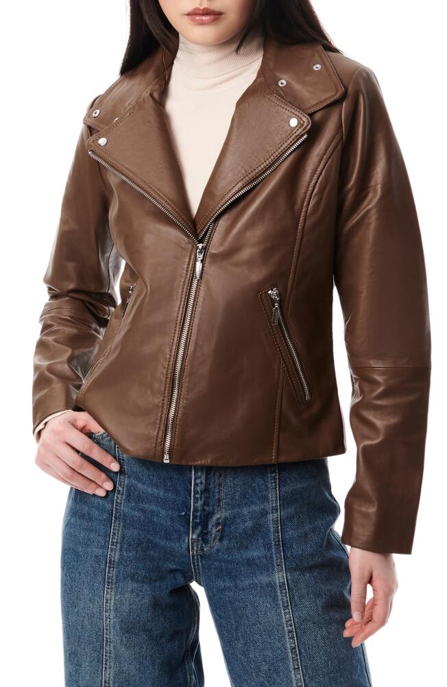 Bernardo Lambskin Leather Moto Jacket in Clay Brown Cover