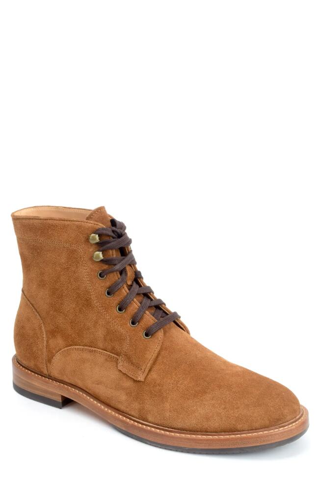 Warfield & Grand Batton Lace-Up Boot in Tan Cover