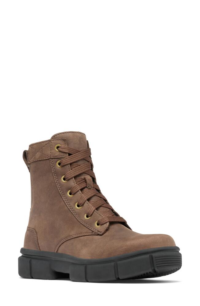 SOREL Explorer Lace-Up Boot in Tobacco/Black Cover