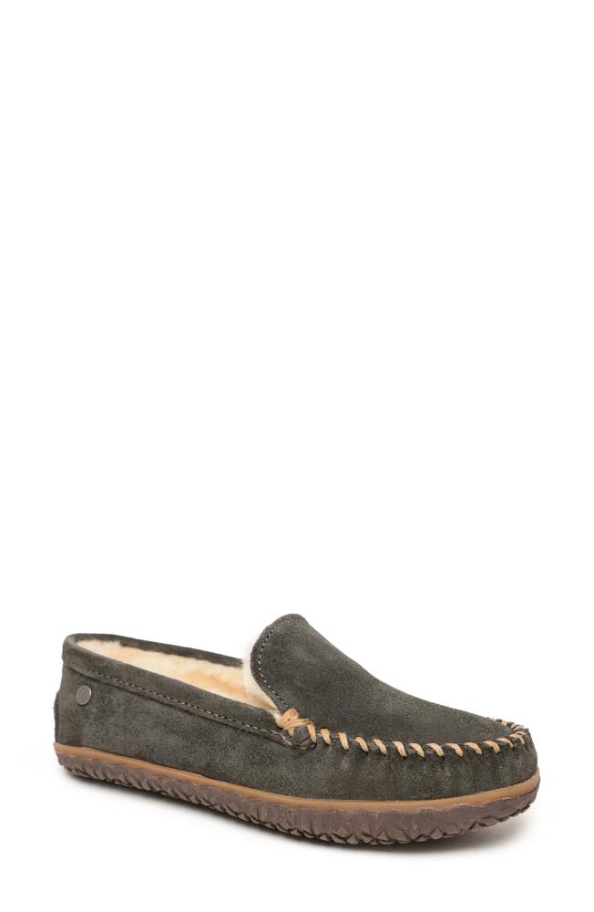 Minnetonka Terese Genuine Shearling Loafer in Charcoal Black Cover