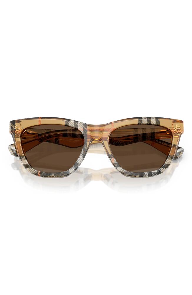 burberry 53mm Cat Eye Sunglasses in Dark Brown Cover