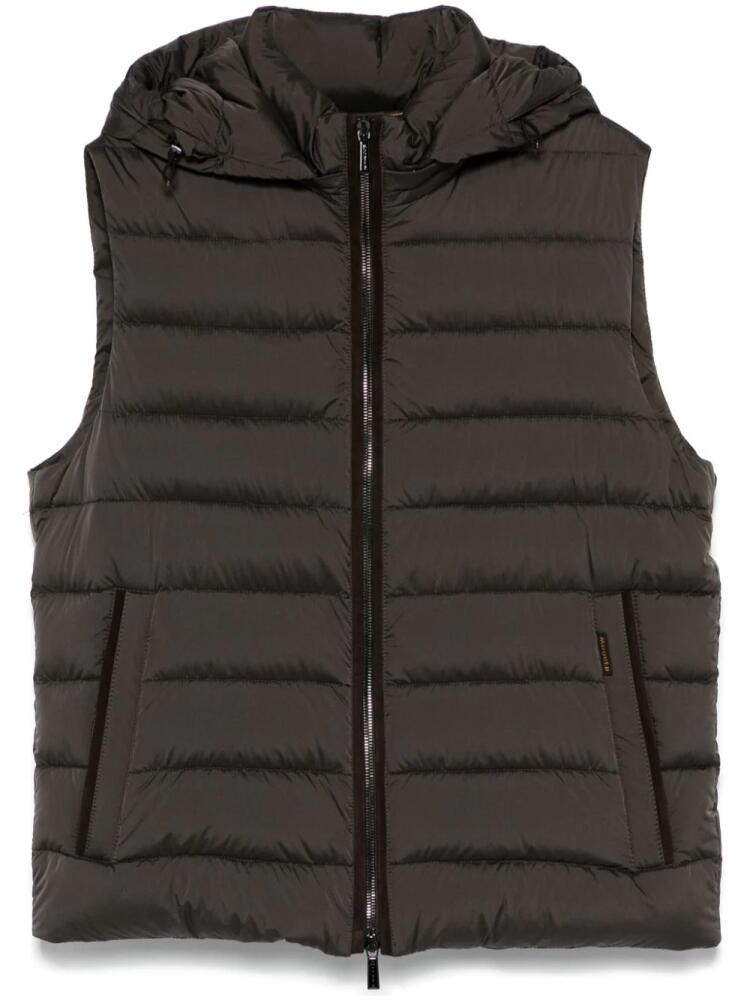 Moorer Febo-S3C gilet - Green Cover