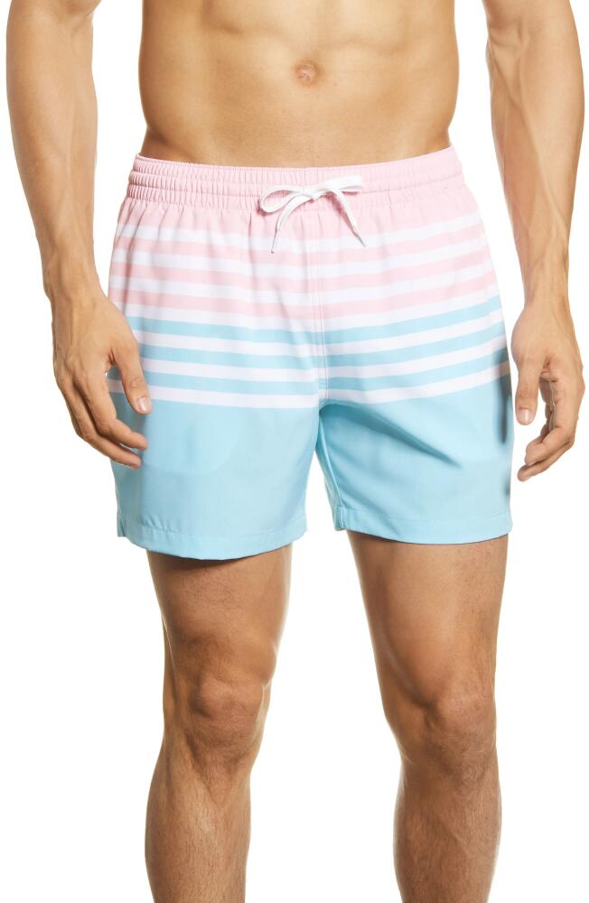 Chubbies 5.5-Inch Swim Trunks in The On The Horizons Cover