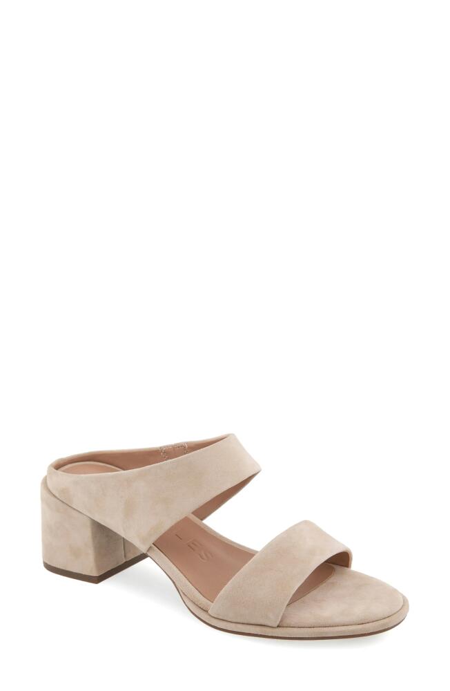 Aerosoles Nika Slide Sandal in Pale Khaki Suede Cover