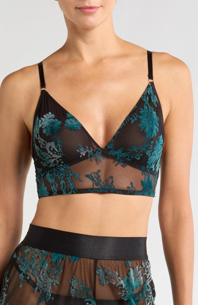 KILO BRAVA Floral Embroidered Longline Bralette in Black Emerald Cover