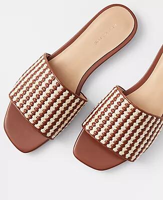 Ann Taylor Weekend Woven Leather Flat Sandals Cover