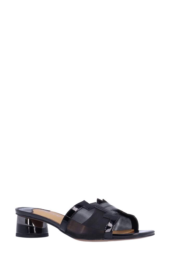 J. Reneé Amorra Slide Sandal in Black Cover